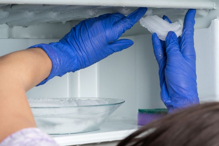 Cara Mencegah Bunga Es di Kulkas 1 Pintu