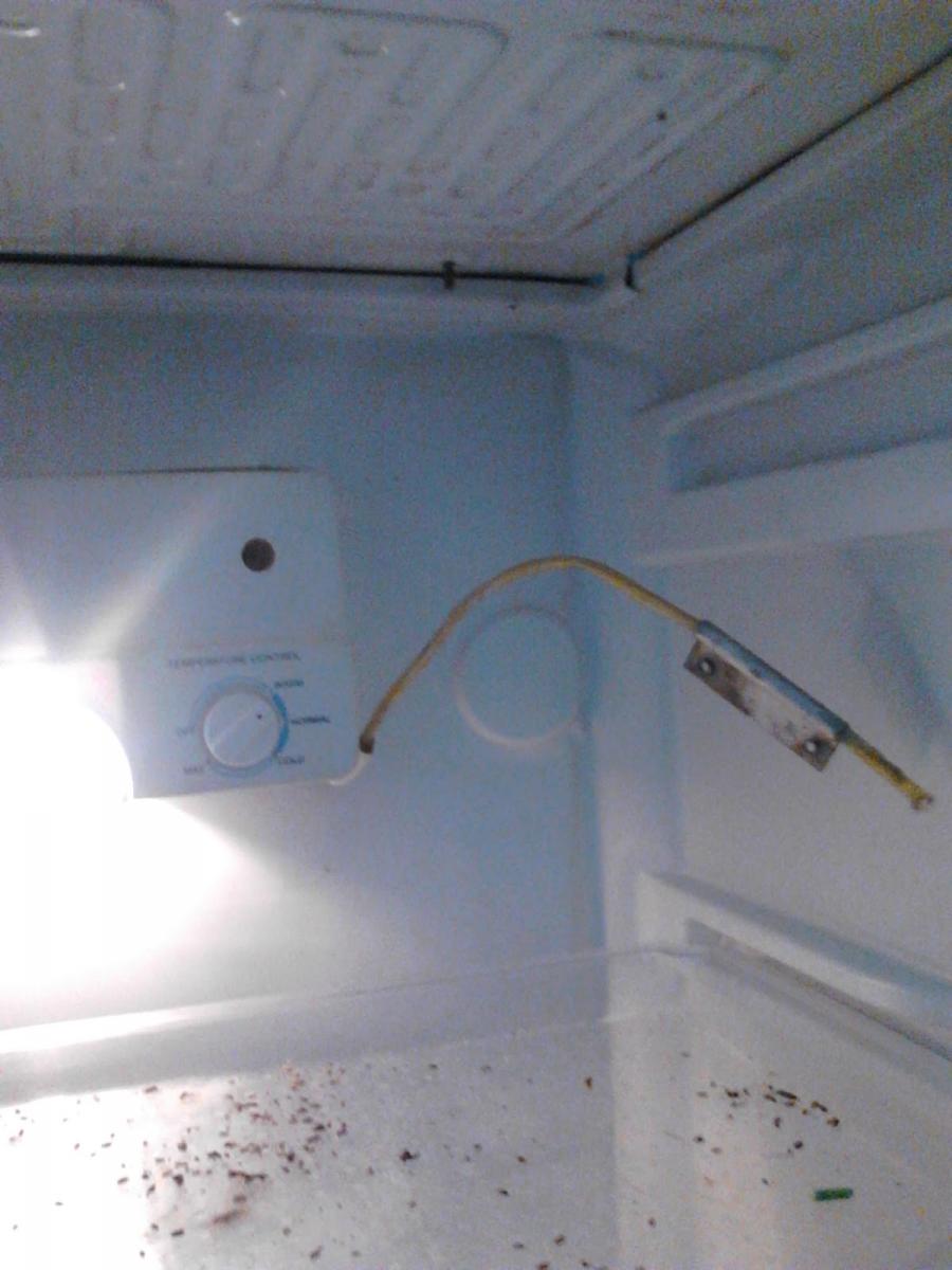 Cara Mengecek Keadaan Thermostat Kulkas