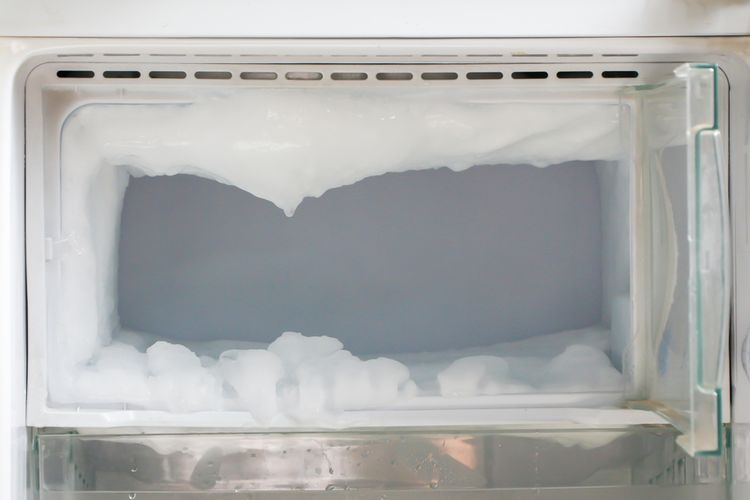 bunga es bisa diminimalisir pada kulkas dua pintu karena memiliki skema kelistrikan lebih sempurna